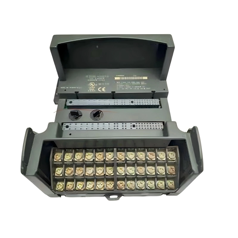 غي IC200CHS001